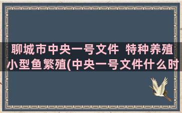 聊城市中央一号文件  特种养殖小型鱼繁殖(中央一号文件什么时候发布)